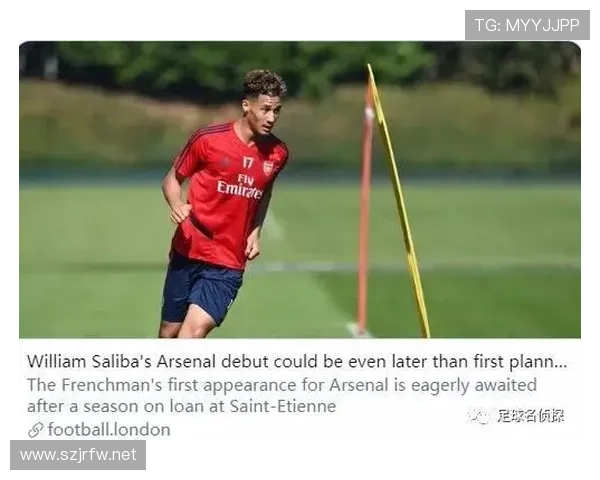 威廉·萨利巴：英超最佳阵容中卫跻身顶级行列